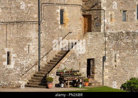 Flight of external stone steps leading to door in west range of historic medieval castle - Bolton Castle, Wensleydale, North Yorkshire England, UK Stock Photo