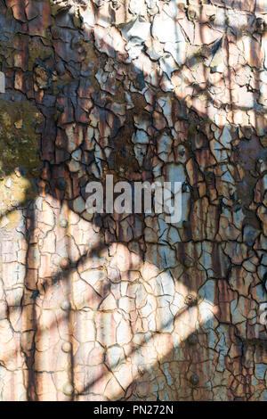 Rusty steel panels on an old ship, cracked and textured with flaking paint and rusty rivets. Shadows of metal staircase cast on surface Stock Photo