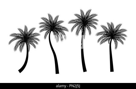 Beautifil Palm Tree  Silhouette Collection Set Vector Illustration Stock Vector