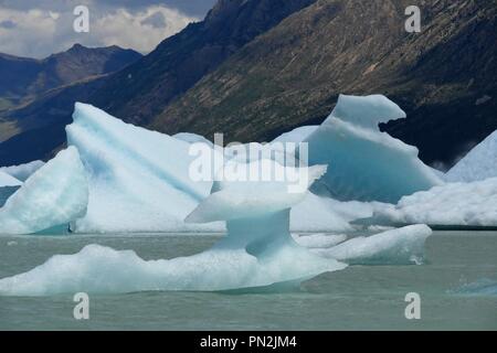 Floating icebergs in Viedma Lake at Huemul Trek close to El Chalten in Patagonia Argentina Stock Photo