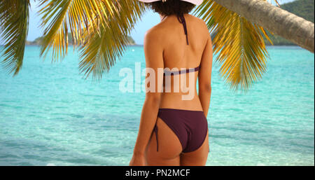Rear view of black woman looking at ocean horizon Stock Photo