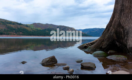 A tree stump rose up out of the water along the shoreline of lake Vallecito located in southern Colorado. Stock Photo