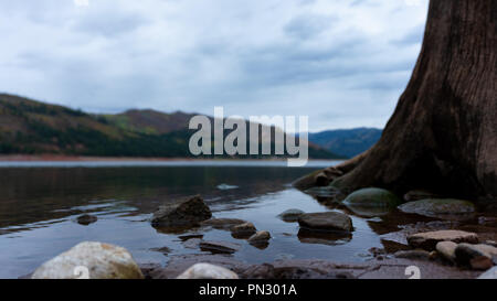 A tree stump rose up out of the water along the shoreline of lake Vallecito located in southern Colorado. Stock Photo