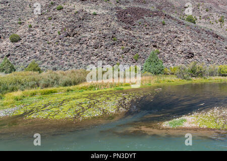 A smaller stream of water flowing into a larger stream in the Rio Grande river in New Mexico Stock Photo