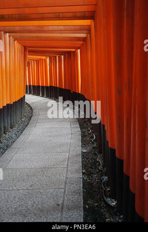 Red torii gates, Fushimi Inari shrine, Kyoto, Japan. No PR Stock Photo
