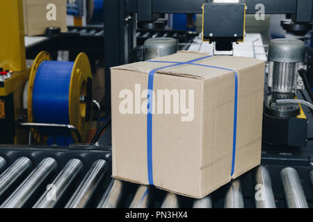 cardboard box of product packaging is moving on conveyor belt of automatic packing machine in the manufacturing factory ready for distribution to the  Stock Photo