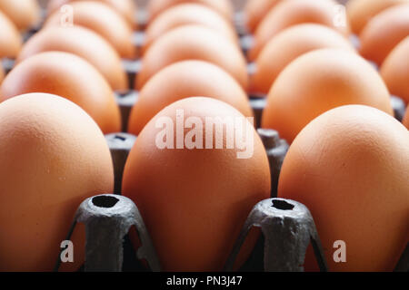 Eggs in black panel Eggs in dark colors represent the freshness and completeness of hens. Stock Photo