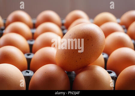 Eggs in black panel Eggs in dark colors represent the freshness and completeness of hens. Stock Photo