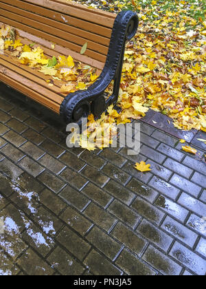 wooden bench in park. wet pavement with fallen yellow maple leaves. rainy day Stock Photo