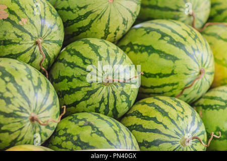 Many big sweet green watermelons background. Extra jumbo size of organic watermelons (Citrullus lanatus) for sale at the fruit market. Stock Photo