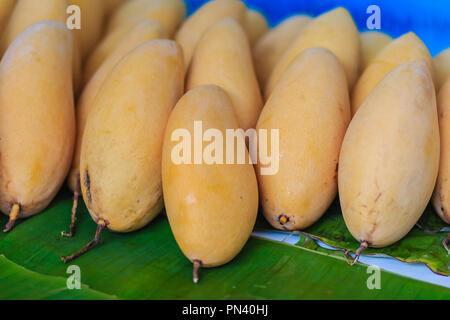 Organic Nam Dok Mai mangoes for sale at the fruit market. The Nam Doc Mai (Nam Dok Mai) mango is a mango cultivar which originated in Thailand. It is  Stock Photo