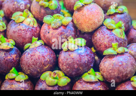 Extra jumbo size of the purple mangosteen (Garcinia mangostana) for sale at the fruit market. Close up texture background surface of organic violet ma Stock Photo