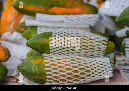 Extra jumbo size of ripe big yellow papaya fruit wrapped in protective net for sale at the fruit market in Bangkok, Thailand. Organic ripe papaya vend Stock Photo