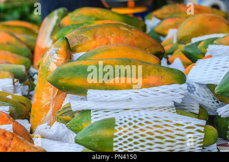 Extra jumbo size of ripe big yellow papaya fruit wrapped in protective net for sale at the fruit market in Bangkok, Thailand. Organic ripe papaya vend Stock Photo