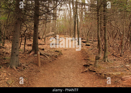 The Stony Man Trail is a short and pleasant hike and offers some of the best vistas of the Appalachian Mountain Range, in Shenandoah National Park, VA Stock Photo