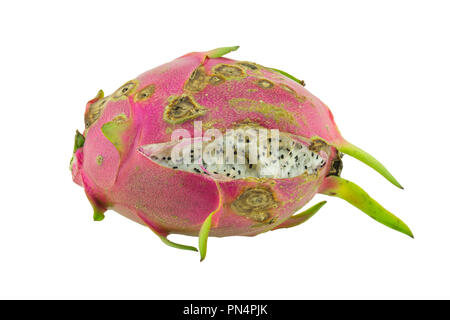 Rotten dragon fruit isolated on white background Stock Photo