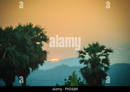 Silhouette of sugar palm trees after sunset, with colorful sky and mountain background. Silhouette palm tree on sunrise with colorful twilight sky on  Stock Photo