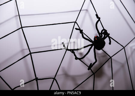Home decor against wall background.Halloween holiday concept.Halloween background with spider web and spiders as symbols of Halloween on the dark blue wooden background. Halloween concept Stock Photo