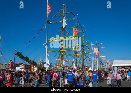 Le Havre (Normandy, north-western France): old sailing ships and three-masted ships on the occasion of the Tall Ships Regatta (French “Les Grandes Voi Stock Photo