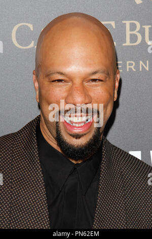 Common at Summit Entertainment's Los Angeles Premiere of 'John Wick: Chapter 2' held at the ArcLight Hollywood in Hollywood, CA, January 30, 2017. Photo by Joseph Martinez / PictureLux Stock Photo