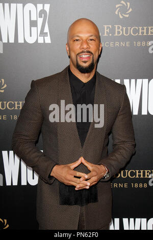 Common at Summit Entertainment's Los Angeles Premiere of 'John Wick: Chapter 2' held at the ArcLight Hollywood in Hollywood, CA, January 30, 2017. Photo by Joseph Martinez / PictureLux Stock Photo