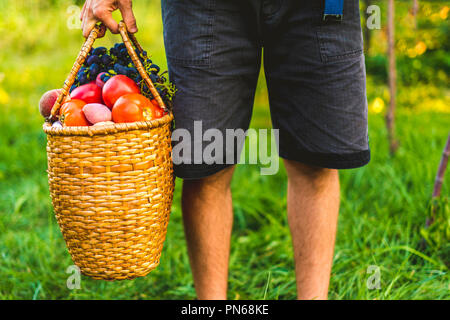young male farmer holding a basket with collected harvest fruits and vegetables in garden farm Stock Photo