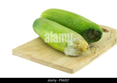 Rotten cucumber isolated on the white background Stock Photo