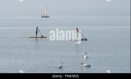20 September 2018, Baden-Wuerttemberg, Friedrichshafen: Two Standup paddlers ride between swans and a sailing boat on Lake Constance. Photo: Stefan Puchner/dpa Stock Photo