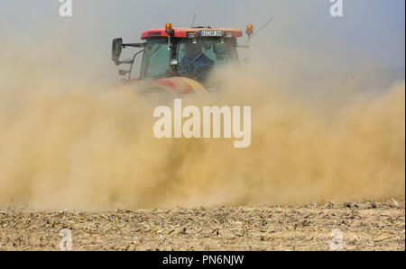 20 September 2018, Baden-Wuerttemberg, Unlingen: A farmer tills a dry field and whirls up a cloud of dust in the process Photo: Thomas Warnack/dpa Stock Photo