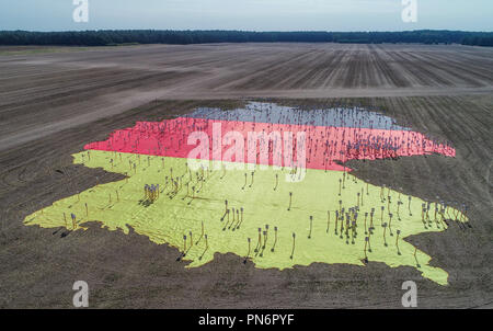 Brandenburg, Germany. 20 September 2018, Brandenburg, Grassau: A huge German flag can be seen with countless signs on a field (aerial view with a drone). The Federal Ministry of Transport and Digital Infrastructure (BMVI) has implemented the project 'Digitalacker', a large open-air exhibition on the topic of broadband expansion, in Grassau district of Elbe-Elster. Credit: dpa picture alliance/Alamy Live News Stock Photo