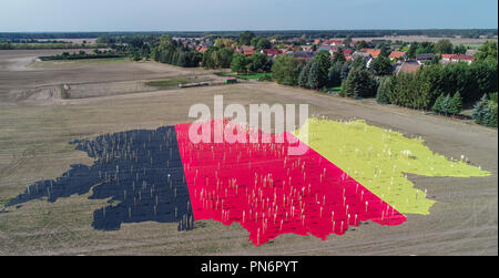 Brandenburg, Germany. 20 September 2018, Brandenburg, Grassau: A huge German flag can be seen with countless signs on a field (aerial view with a drone). The Federal Ministry of Transport and Digital Infrastructure (BMVI) has implemented the project 'Digitalacker', a large open-air exhibition on the topic of broadband expansion, in Grassau district of Elbe-Elster. Credit: dpa picture alliance/Alamy Live News Stock Photo