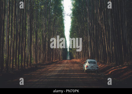 Take new paths Stock Photo - Alamy