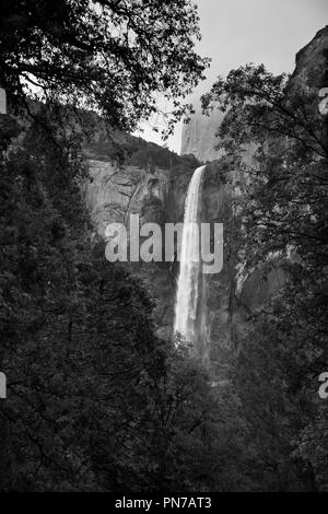 Yosemite falls viewed through the trees on a foggy morning Stock Photo