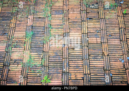 Vintage footpath floor decorated with old red bricks and the green grass growing on this grungy footpath. Stock Photo