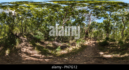 360 degree panoramic view of Walking along the bushwalk path - Castaway Island Resort - Qalito Island - Fiji Islands