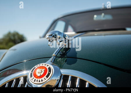 Jaguar MkII bonnet badge Stock Photo