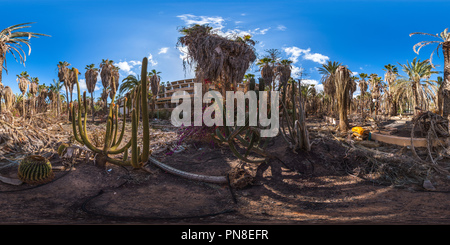 360 degree panoramic view of Lost Places, Hotel Stella Canaris, cactus, Morro Jable