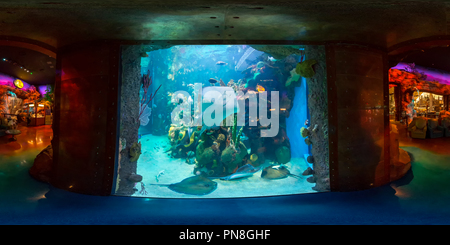 360° view of Bass Pro Shops Aquarium - Alamy