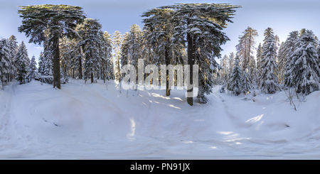 360 degree panoramic view of Puijo winter forest in Kuopio town