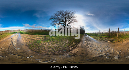 360 degree panoramic view of Debeli Rtič - Slovenija