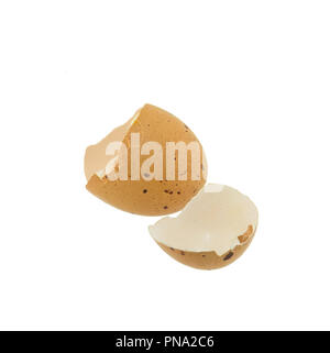 Broken eggshell isolated on white background Stock Photo