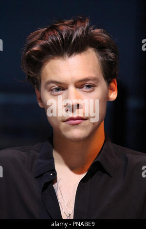 Harry Styles  07/09/2017 'Dunkirk' Press Conference held at the Barker Hangar in Santa Monica, CA Photo by Izumi Hasegawa / HNW / PictureLux Stock Photo