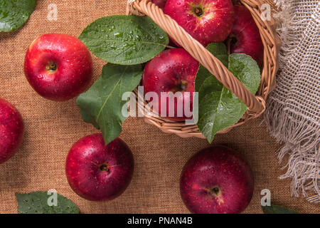 Close up of small basket full of fresh wet red apples and few apples and leaves around it on natural burlap. Selective focus. Healthy eating and autum Stock Photo