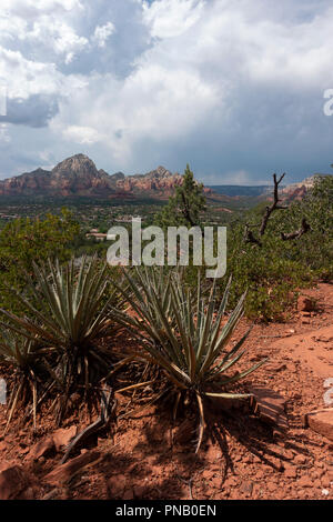 Arizona Desert Landscape Red Rocks with Cactus Stock Photo - Alamy