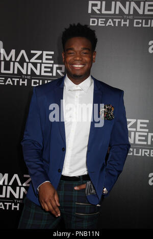 Dexter Darden  01/18/2018 Red Carpet Fan Screening of 'Maze Runner: The Death Cure' held at AMC Century City 15 at Westfield Century City Mall in Los Angeles, CA Photo by Izumi Hasegawa / HNW / PictureLux Stock Photo