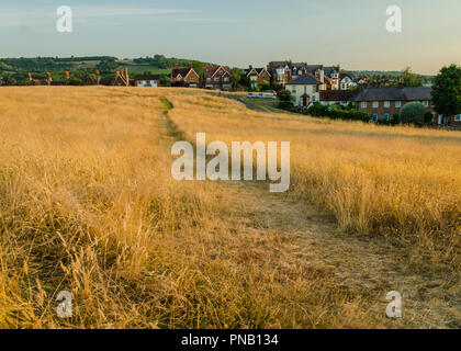 Dorking, Surrey, UK- A view over Cotmandene, a grassy area close to the town centre Stock Photo