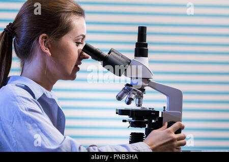 beautiful science student looking into a microscope in a laboratory ...