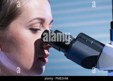 Young scientist using a microscope in a laboratory Stock Photo