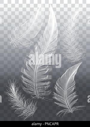 Detailed white feathers, set of vector graphic design elements, isolated over transparent background Stock Vector