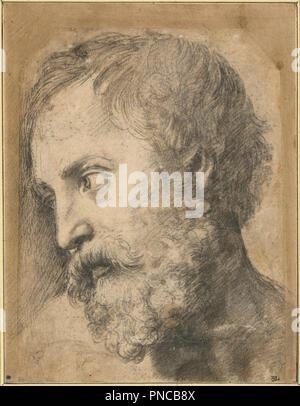 Head of An Apostle in the Transfiguration, 1519-1520. Date/Period: From 1519 until 1520. Drawing. Black chalk on paper over traces of a metal-stylus preliminary drawing, transfer traces. Author: RAPHAEL. Raphael (Raffaello Sanzio da Urbino). Stock Photo